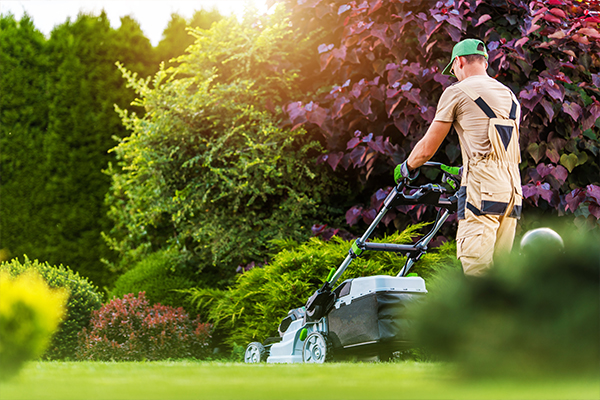 landscaper in the field